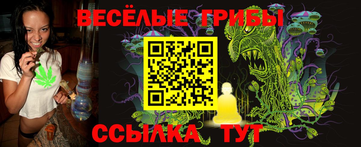 Псилоцибиновые грибы GOLDEN TEACHER  купить наркотики сайты  Улан-Удэ  Вход с VPN 